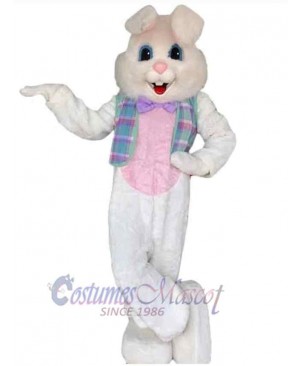Easter Bunny Rabbit mascot costume