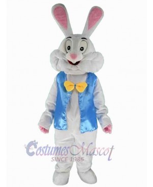 Easter Bunny Rabbit mascot costume