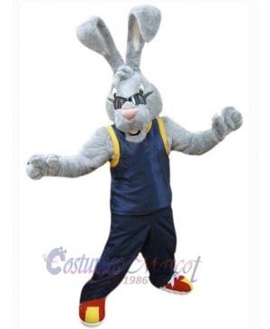 Easter Bunny Rabbit mascot costume