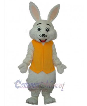 Easter Bunny Rabbit mascot costume