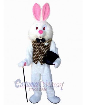Easter Bunny Rabbit mascot costume