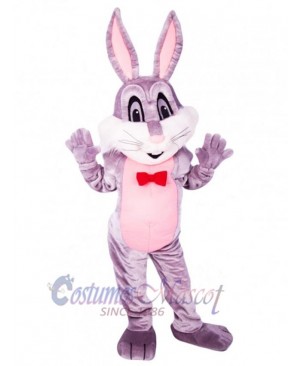 Easter Bunny Rabbit mascot costume