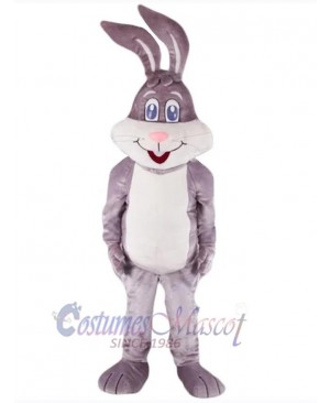 Easter Bunny Rabbit mascot costume