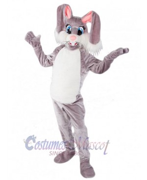 Easter Bunny Rabbit mascot costume