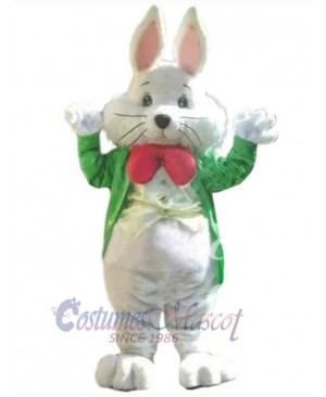Easter Bunny Rabbit mascot costume