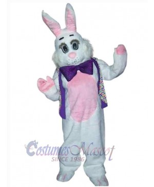 Easter Bunny Rabbit mascot costume