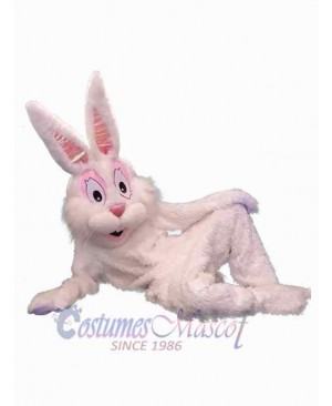 Easter Bunny Rabbit mascot costume