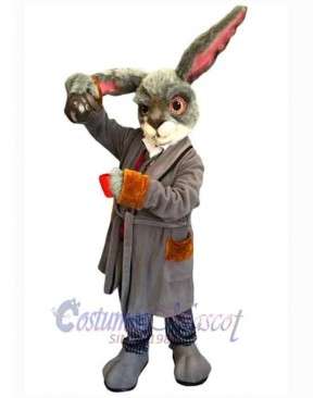 Easter Bunny Rabbit mascot costume
