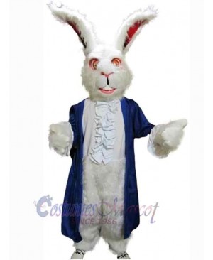 Easter Bunny Rabbit mascot costume