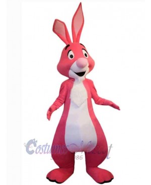 Easter Bunny Rabbit mascot costume