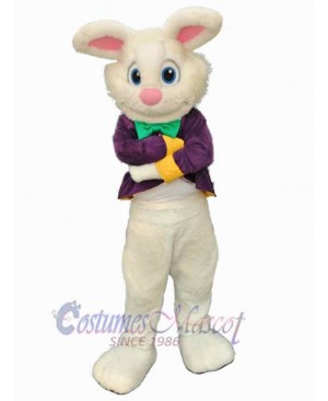 Easter Bunny Rabbit mascot costume