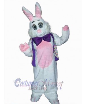 Easter Bunny Rabbit mascot costume