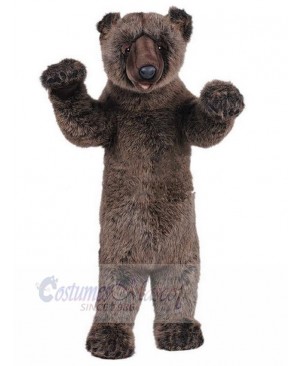 Bear mascot costume