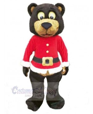 Bear mascot costume