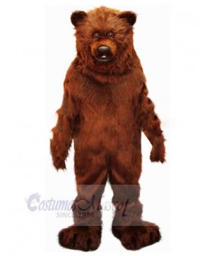 Bear mascot costume
