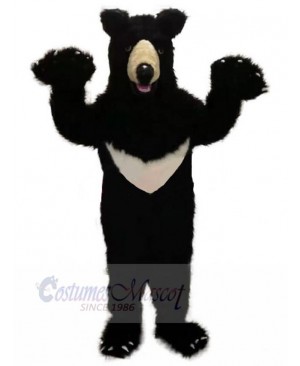 Bear mascot costume
