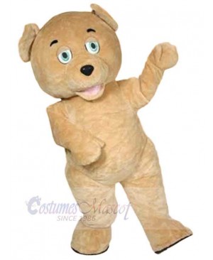 Bear mascot costume