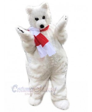 Bear mascot costume