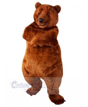 Bear mascot costume