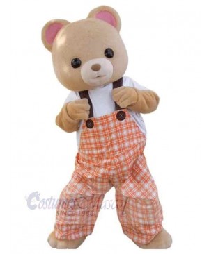 Bear mascot costume