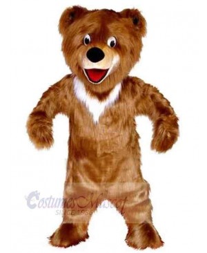 Bear mascot costume