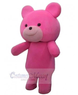 Bear mascot costume