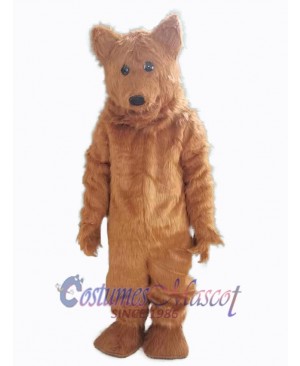 Bear mascot costume