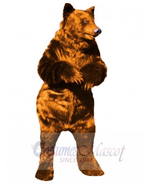 Bear mascot costume