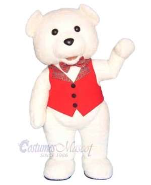 Bear mascot costume