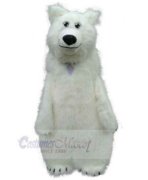 Bear mascot costume