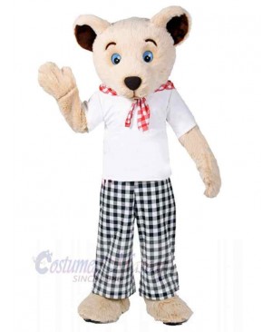 Bear mascot costume
