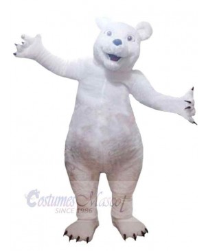 Bear mascot costume