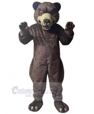 Bear mascot costume