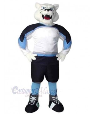 Bear mascot costume