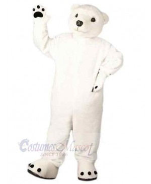 Bear mascot costume