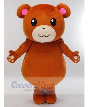 Bear mascot costume