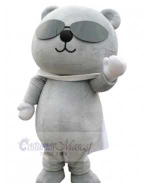 Bear mascot costume
