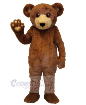 Bear mascot costume