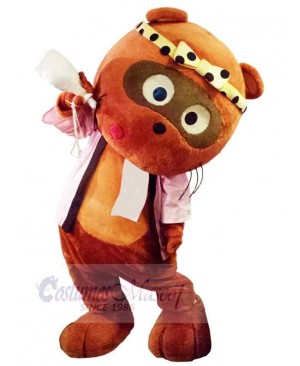 Bear mascot costume