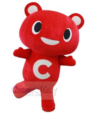 Bear mascot costume