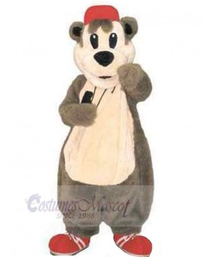 Bear mascot costume