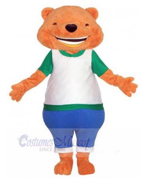Bear mascot costume