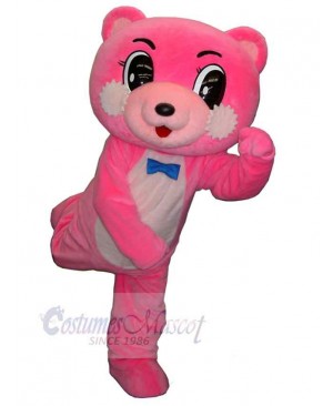 Bear mascot costume