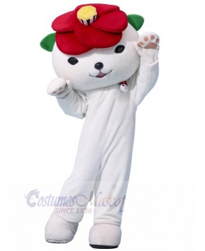 Bear mascot costume