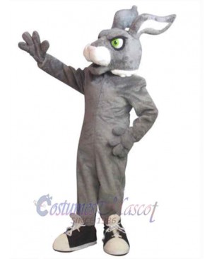 Easter Bunny Rabbit mascot costume