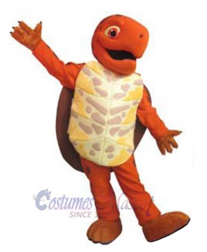 Turtle mascot costume