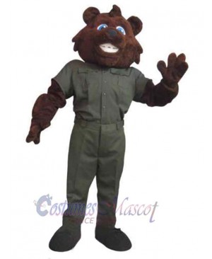 Bear mascot costume