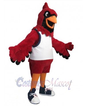 Cardinal Bird mascot costume