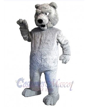 Bear mascot costume