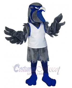 Hawk mascot costume